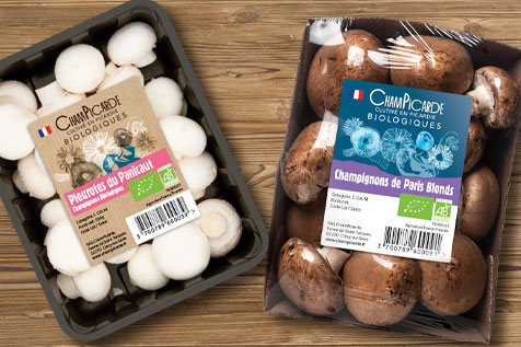 Champicarde mushroom packaging